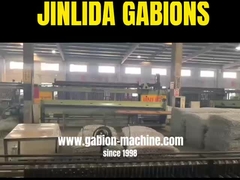 Gabion Mesh Machine Marvel: Jinlida's Game - Thay đổi công nghệ